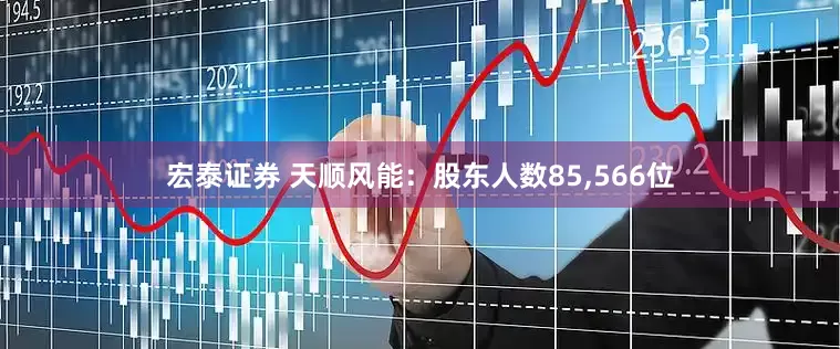 宏泰证券 天顺风能：股东人数85,566位