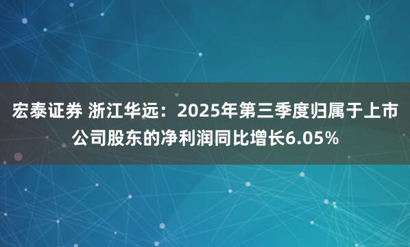 宏泰证券 浙江华远：2025年第三季度归属于上市公司股东的净利润同比增长6.05%
